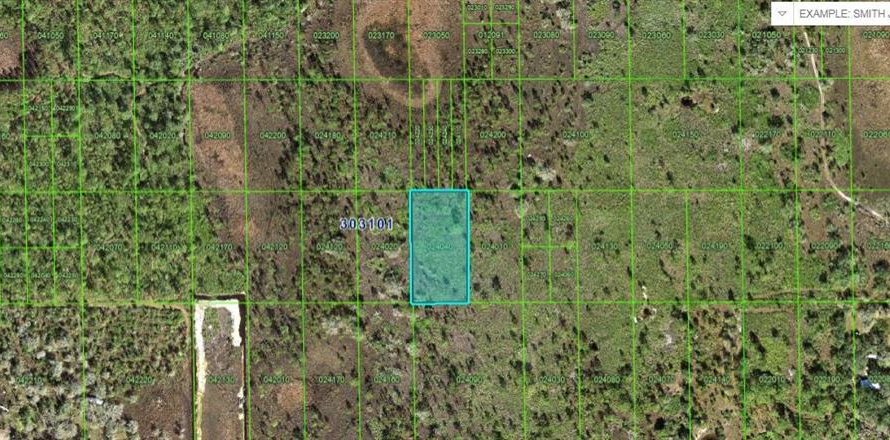 Land in Lake Wales, Florida № 2158879