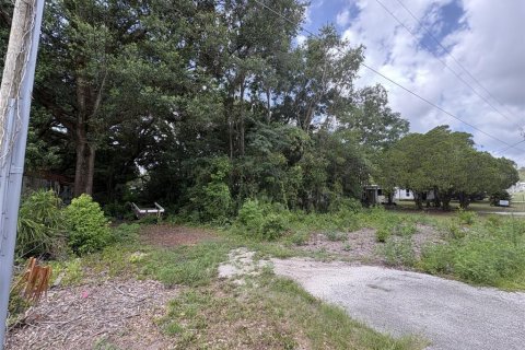 Купить земельный участок в Саммерфилд, Флорида № 2208274 - фото 4
