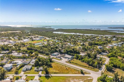 Commercial property in Fort Myers, Florida № 2088488 - photo 6
