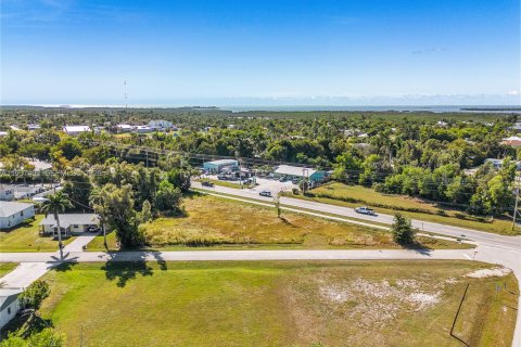Commercial property in Fort Myers, Florida № 2088488 - photo 10