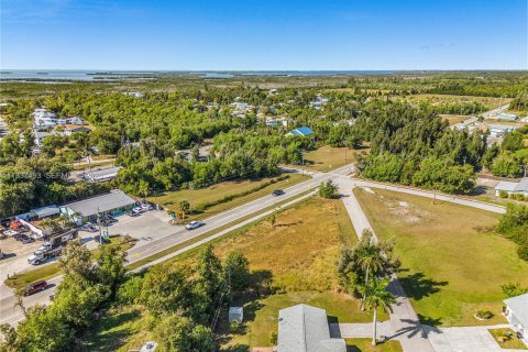 Commercial property in Fort Myers, Florida № 2088488 - photo 2