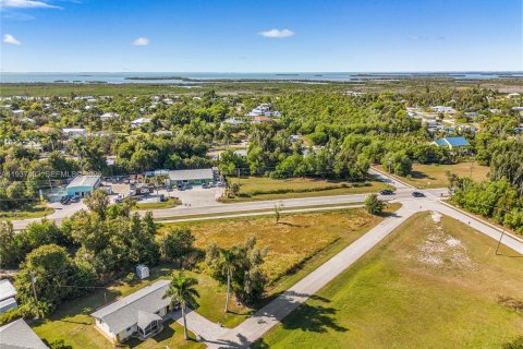 Commercial property in Fort Myers, Florida № 2088488 - photo 3