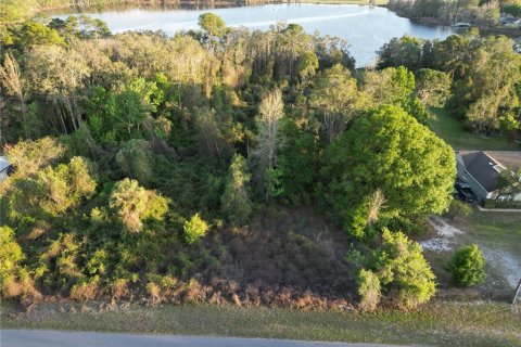 Terrain à vendre à Eustis, Floride № 2195344 - photo 8
