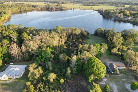 Land in Eustis, Florida № 2195344