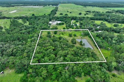Terrain à vendre à Bunnell, Floride № 2208483 - photo 7