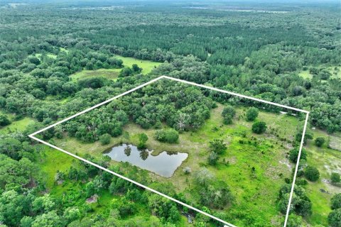 Terrain à vendre à Bunnell, Floride № 2208483 - photo 8