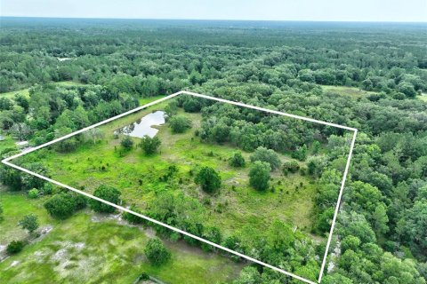 Terrain à Bunnell, Floride № 2208483