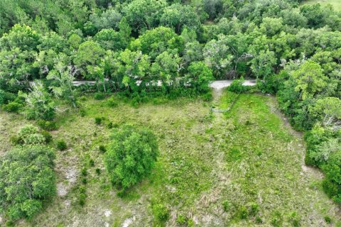 Terrain à vendre à Bunnell, Floride № 2208483 - photo 11