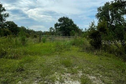 Terrain à vendre à Bunnell, Floride № 2208483 - photo 2