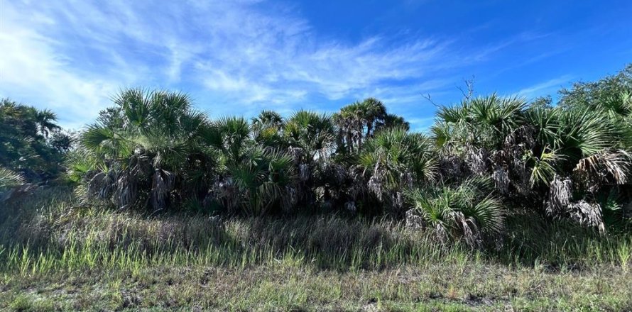 Terrain à North Port, Floride № 2218515