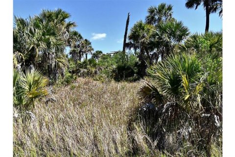 Terrain à vendre à North Port, Floride № 2218515 - photo 4
