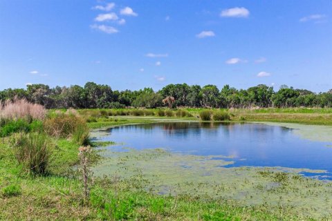 Terreno en venta en Fish Hawk, Florida № 1164847 - foto 11