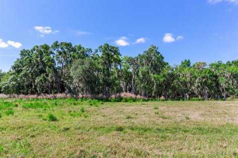 Terreno en venta en Fish Hawk, Florida № 1164847 - foto 14