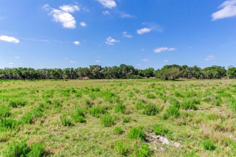Terreno en venta en Fish Hawk, Florida № 1164847 - foto 13