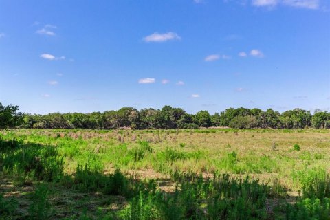 Terreno en venta en Fish Hawk, Florida № 1164847 - foto 9