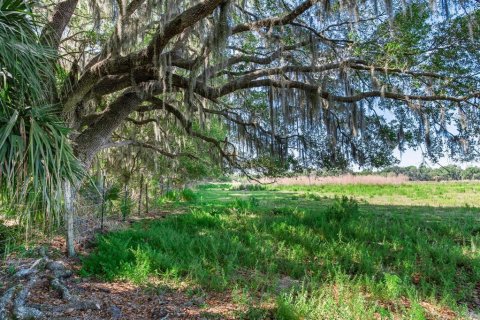 Terreno en venta en Fish Hawk, Florida № 1164847 - foto 6