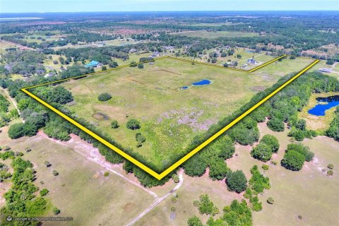 Terreno en venta en Fish Hawk, Florida № 1164847 - foto 21