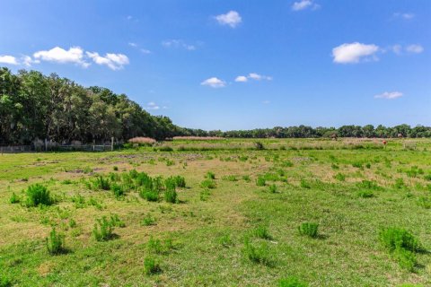 Terreno en venta en Fish Hawk, Florida № 1164847 - foto 5