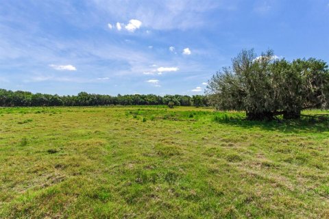 Terreno en venta en Fish Hawk, Florida № 1164847 - foto 2