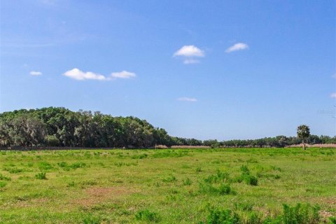 Terreno en venta en Fish Hawk, Florida № 1164847 - foto 1