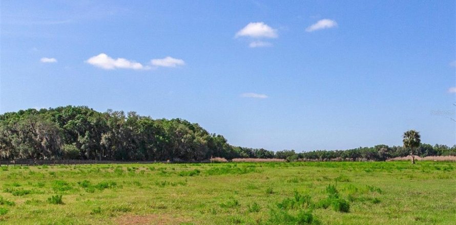 Terreno en Fish Hawk, Florida № 1164847
