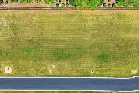 Terreno en venta en Lake Alfred, Florida № 2199031 - foto 10