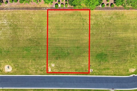 Terreno en venta en Lake Alfred, Florida № 2199031 - foto 2