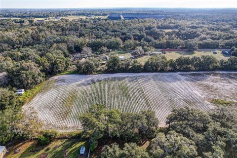 Land in Plant City, Florida № 2104054 - photo 18