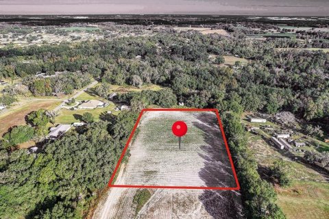 Land in Plant City, Florida № 2104054 - photo 2