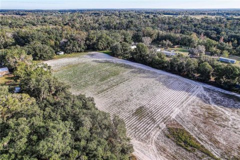 Land in Plant City, Florida № 2104054 - photo 3