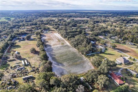 Land in Plant City, Florida № 2104054 - photo 14