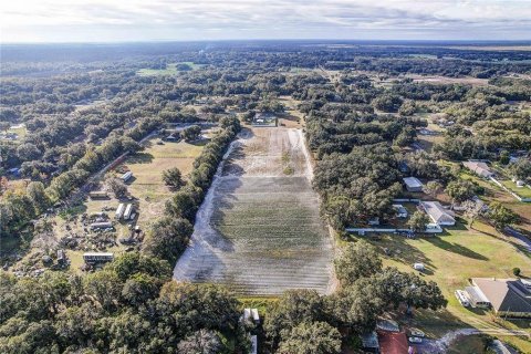 Land in Plant City, Florida № 2104054 - photo 15