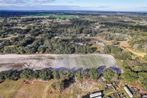 Land in Plant City, Florida № 2104054 - photo 12