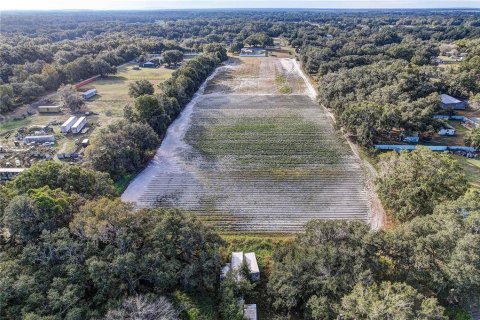 Land in Plant City, Florida № 2104054 - photo 10