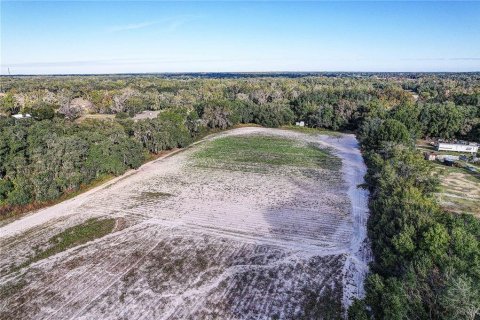 Land in Plant City, Florida № 2104054 - photo 5