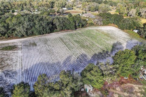 Land in Plant City, Florida № 2104054 - photo 6