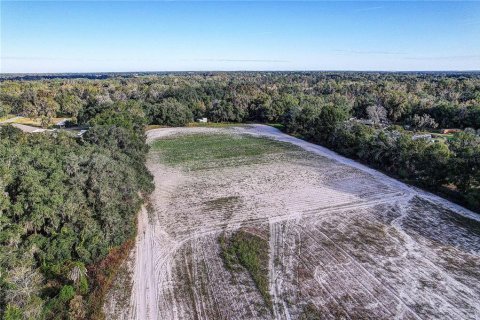 Land in Plant City, Florida № 2104054 - photo 4