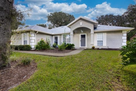 Villa ou maison à New Smyrna Beach, Floride 3 chambres, 157.19 m2 № 2384232