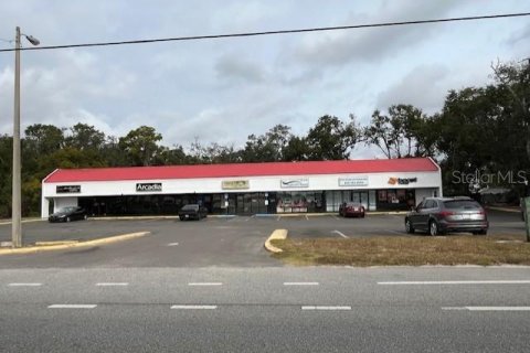 Immobilier commercial à Zephyrhills, Floride № 2118638