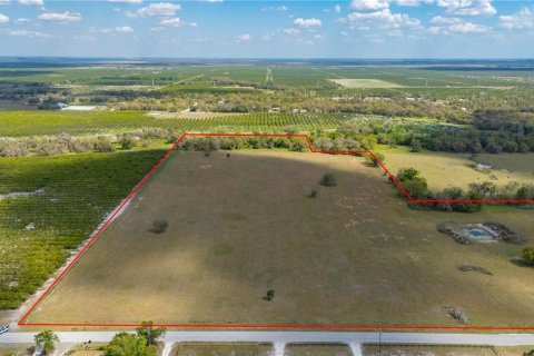Land in Arcadia, Florida № 1755514 - photo 3