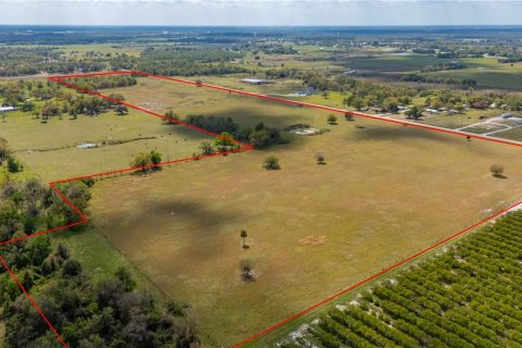 Land in Arcadia, Florida № 1755514 - photo 6