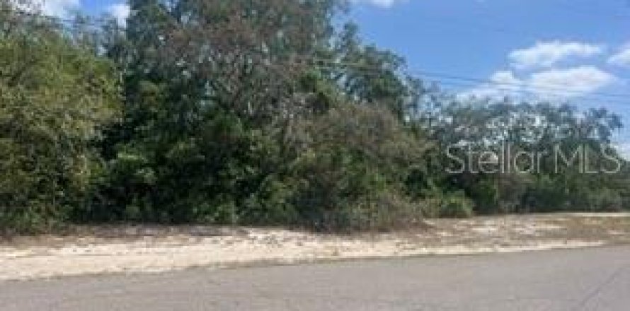 Terrain à Spring Hill, Floride № 1717425