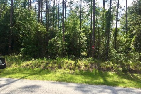 Купить земельный участок в Даннеллон, Флорида № 1917253 - фото 1