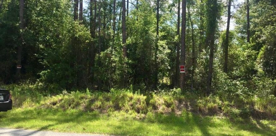 Terrain à Dunnellon, Floride № 1917253