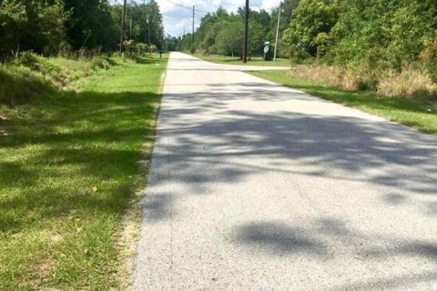 Купить земельный участок в Даннеллон, Флорида № 1917253 - фото 5