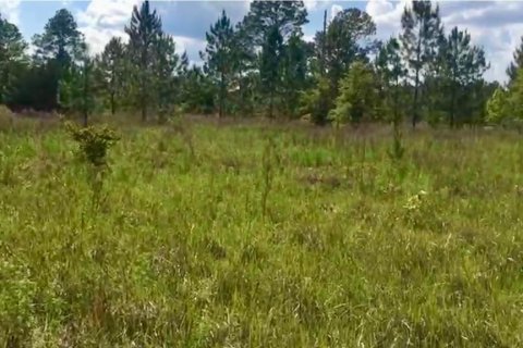 Купить земельный участок в Даннеллон, Флорида № 1917253 - фото 4