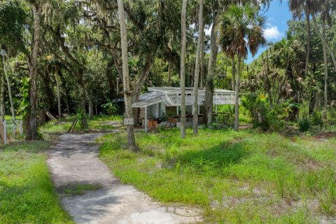 Land in New Smyrna Beach, Florida № 2296469