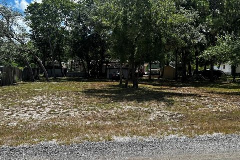 Land in New Port Richey, Florida № 2158861 - photo 2