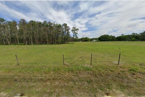 Land in Polk City, Florida № 2226936 - photo 2