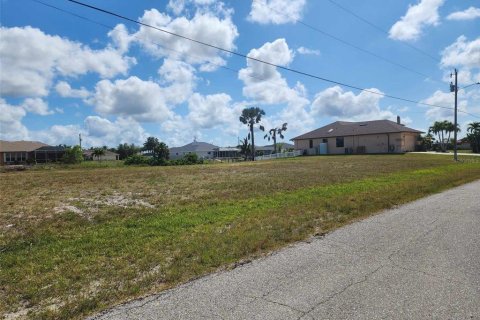 Land in Cape Coral, Florida № 1137450 - photo 2